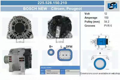 CV PSH 225528150210 -  